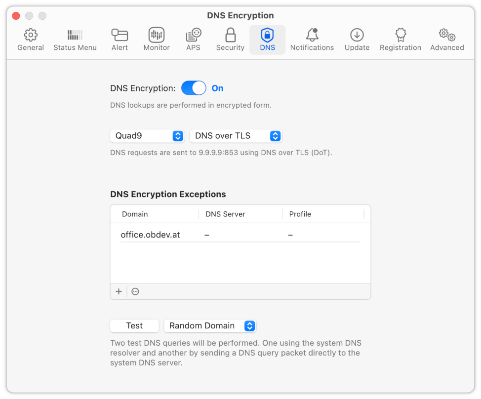 DNS Encryption Settings